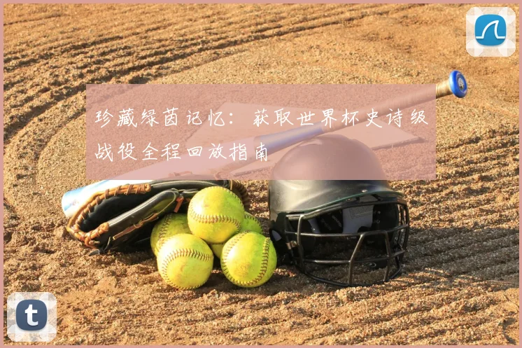 珍藏绿茵记忆:获取世界杯史诗级战役全程回放指南