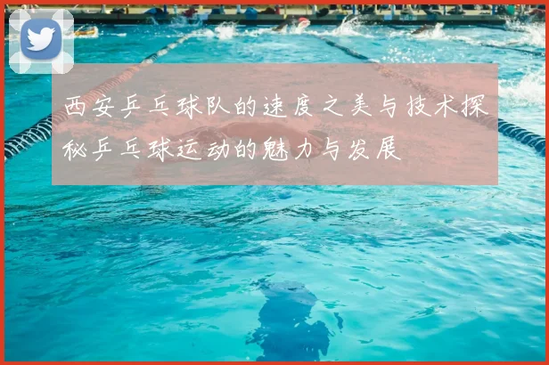 西安乒乓球队的速度之美与技术探秘乒乓球运动的魅力与发展