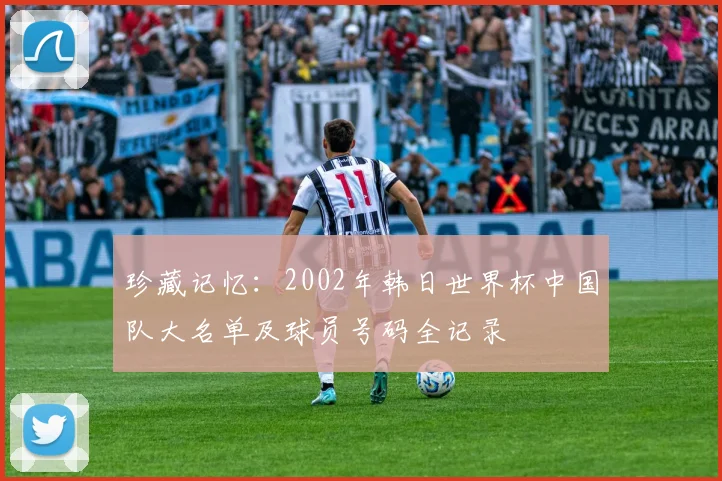 珍藏记忆：2002年韩日世界杯中国队大名单及球员号码全记录