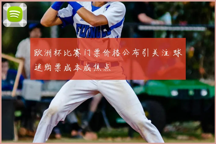 欧洲杯比赛门票价格公布引关注 球迷购票成本成焦点