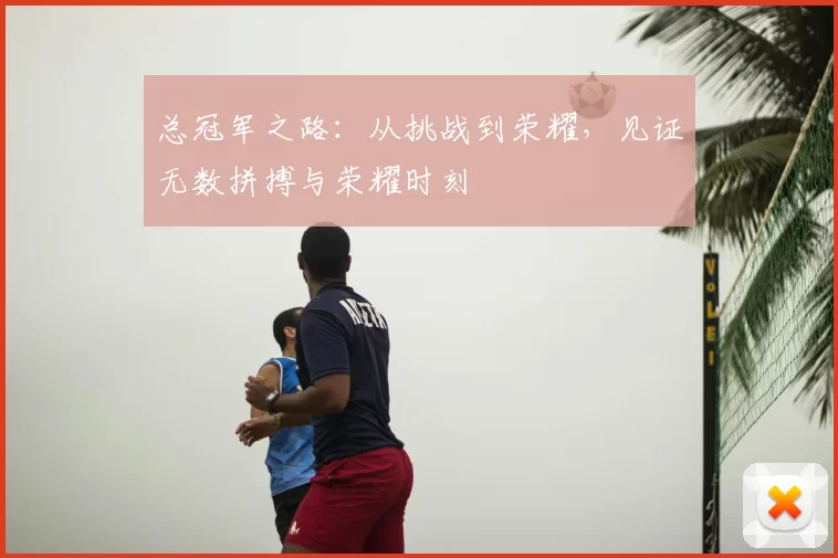 总冠军之路：从挑战到荣耀，见证无数拼搏与荣耀时刻