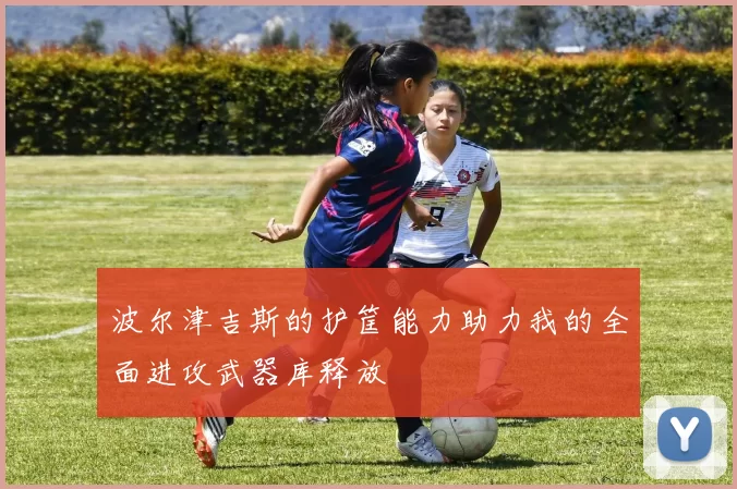 波尔津吉斯的护筐能力助力我的全面进攻武器库释放
