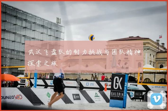 武汉飞盘队的耐力挑战与团队精神探索之旅