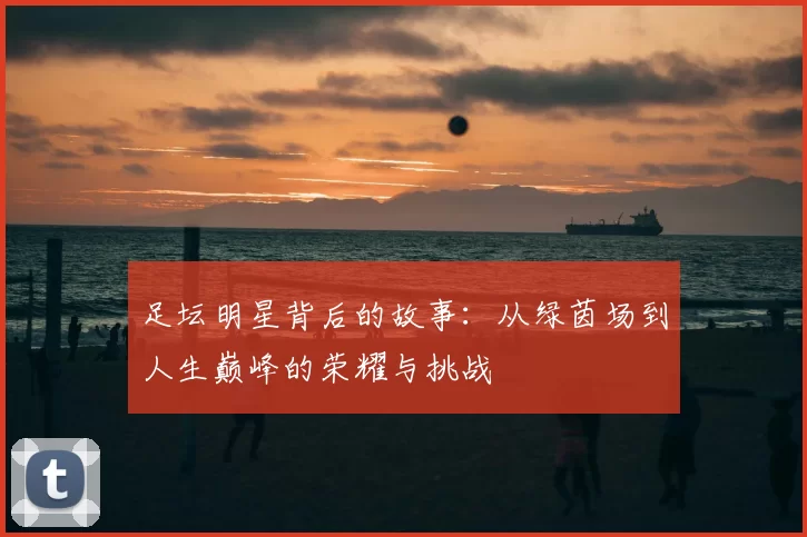 足坛明星背后的故事：从绿茵场到人生巅峰的荣耀与挑战