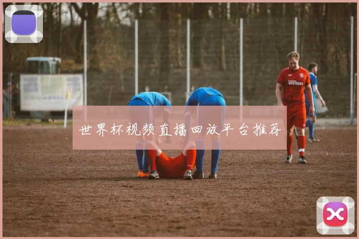 世界杯视频直播回放平台推荐