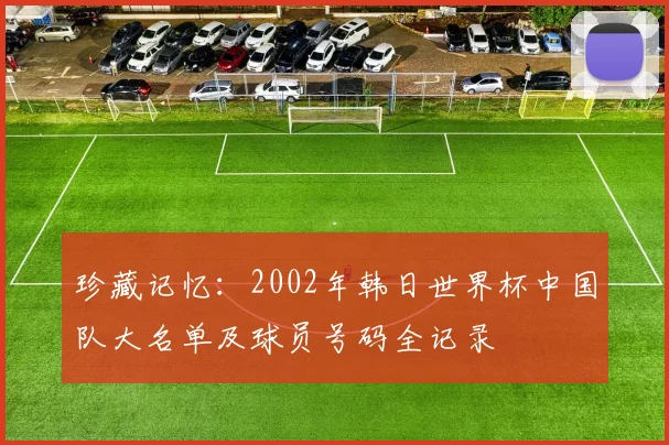 珍藏记忆:2002年韩日世界杯中国队大名单及球员号码全记录