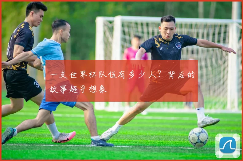 一支世界杯队伍有多少人？背后的故事超乎想象