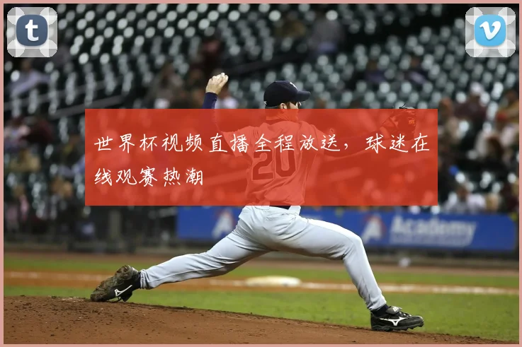 世界杯视频直播全程放送,球迷在线观赛热潮