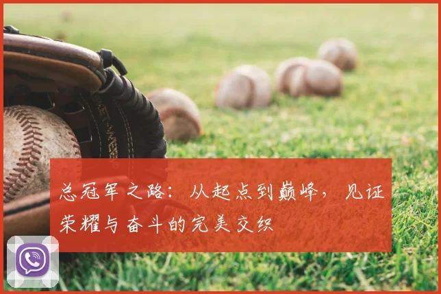 总冠军之路：从起点到巅峰，见证荣耀与奋斗的完美交织