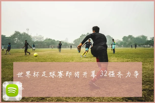 世界杯足球赛即将开幕 32强齐力争冠
