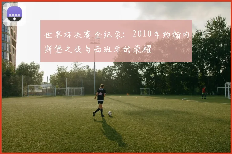 世界杯决赛全纪录:2010年约翰内斯堡之夜与西班牙的荣耀